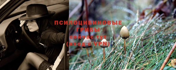 apvp Балахна